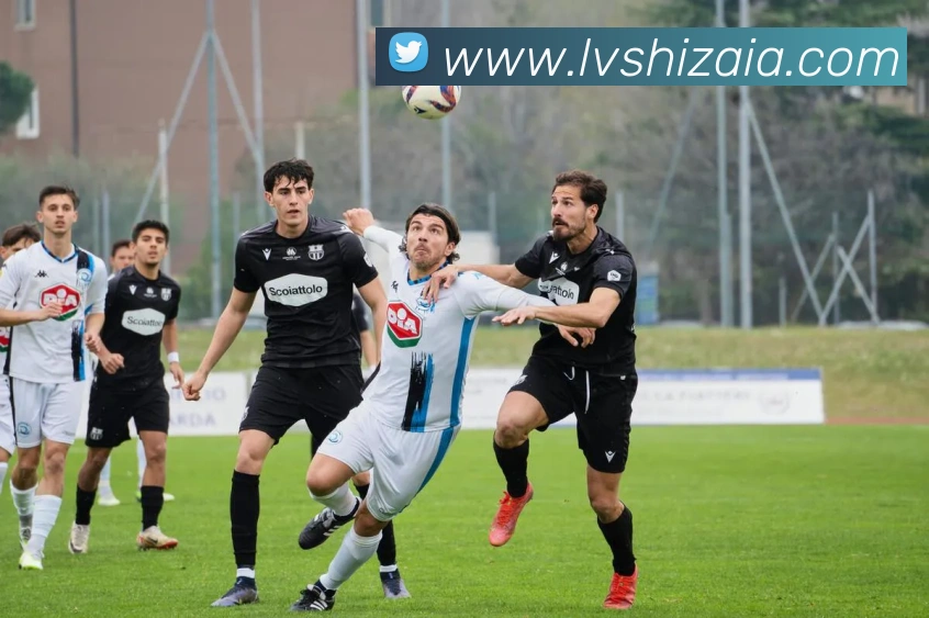 买球官方服务体系